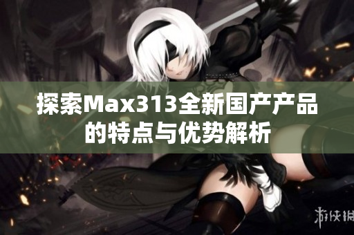 探索Max313全新国产产品的特点与优势解析