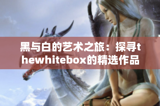 黑与白的艺术之旅：探寻thewhitebox的精选作品