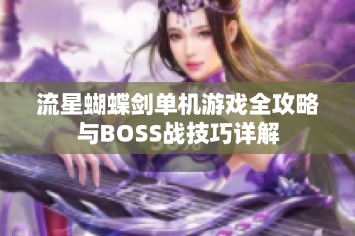 流星蝴蝶剑单机游戏全攻略与BOSS战技巧详解