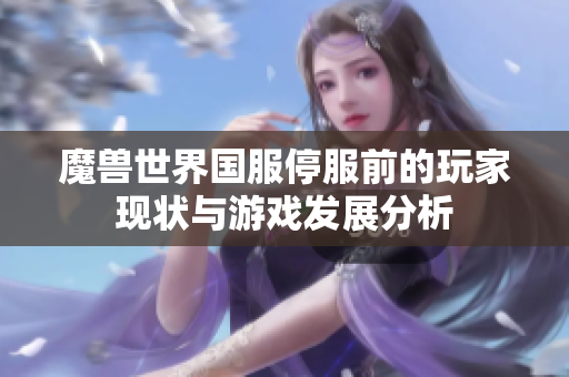 魔兽世界国服停服前的玩家现状与游戏发展分析