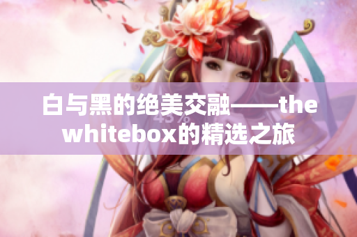 白与黑的绝美交融——thewhitebox的精选之旅