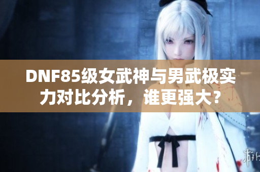 DNF85级女武神与男武极实力对比分析，谁更强大？