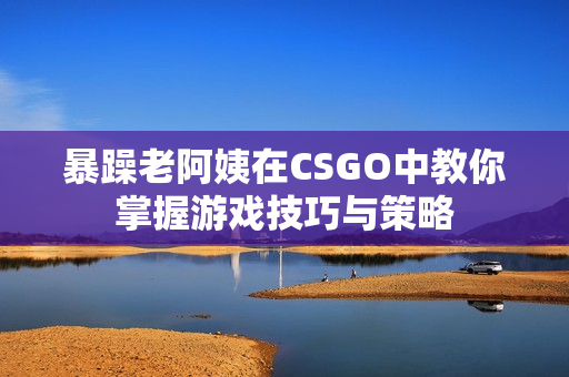 暴躁老阿姨在CSGO中教你掌握游戏技巧与策略