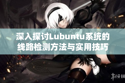 深入探讨Lubuntu系统的线路检测方法与实用技巧