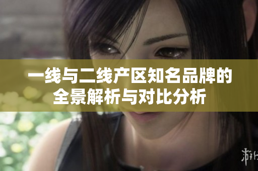 一线与二线产区知名品牌的全景解析与对比分析