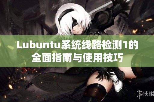 Lubuntu系统线路检测1的全面指南与使用技巧