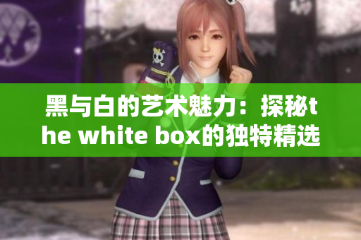 黑与白的艺术魅力：探秘the white box的独特精选