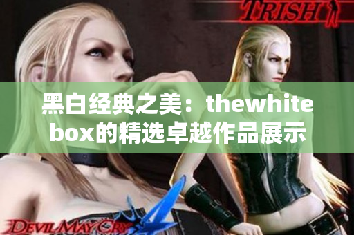 黑白经典之美：thewhitebox的精选卓越作品展示