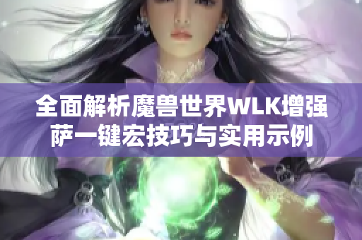 全面解析魔兽世界WLK增强萨一键宏技巧与实用示例