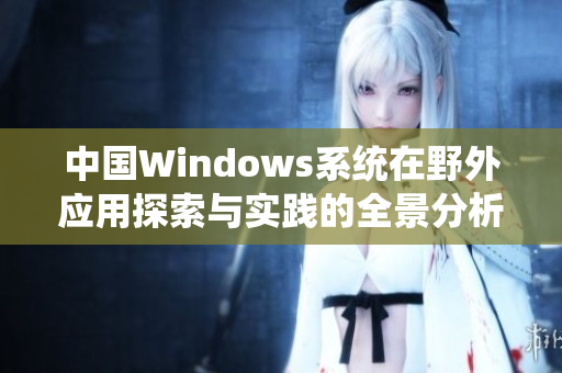 中国Windows系统在野外应用探索与实践的全景分析