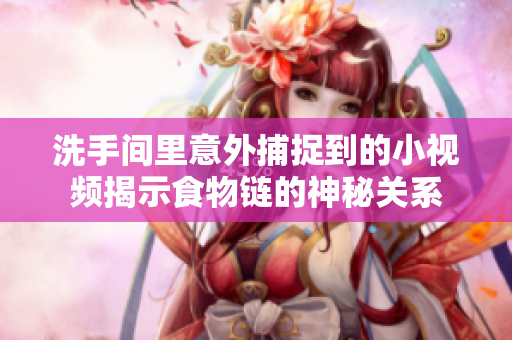 洗手间里意外捕捉到的小视频揭示食物链的神秘关系