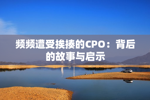 频频遭受挨揍的CPO：背后的故事与启示