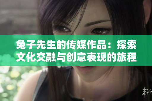 兔子先生的传媒作品：探索文化交融与创意表现的旅程