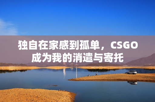 独自在家感到孤单，CSGO成为我的消遣与寄托