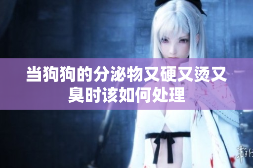 当狗狗的分泌物又硬又烫又臭时该如何处理
