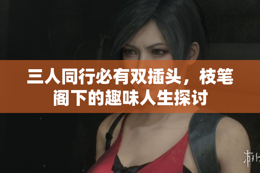 三人同行必有双插头，枝笔阁下的趣味人生探讨