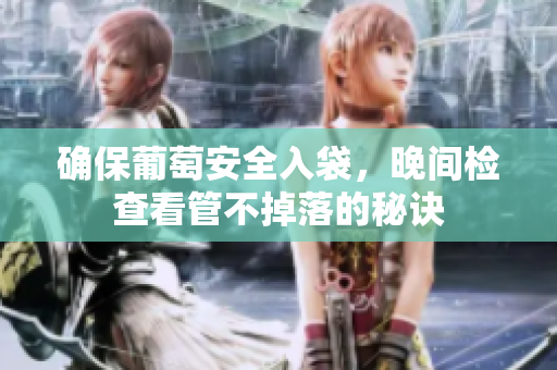 确保葡萄安全入袋，晚间检查看管不掉落的秘诀