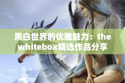 黑白世界的优雅魅力：thewhitebox精选作品分享