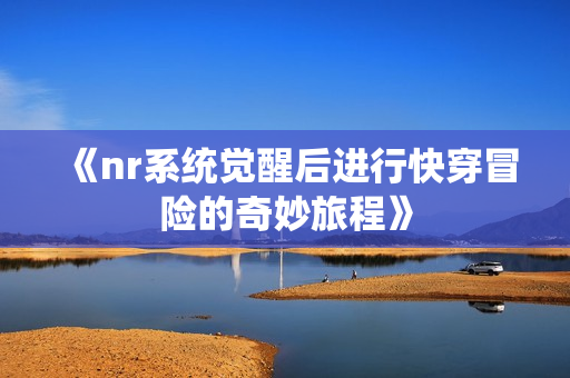 《nr系统觉醒后进行快穿冒险的奇妙旅程》