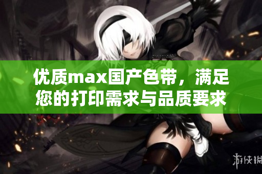 优质max国产色带，满足您的打印需求与品质要求