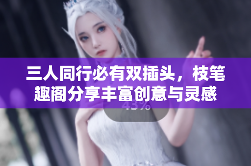三人同行必有双插头，枝笔趣阁分享丰富创意与灵感
