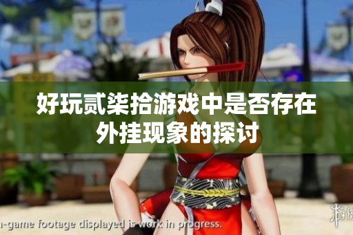 好玩贰柒拾游戏中是否存在外挂现象的探讨