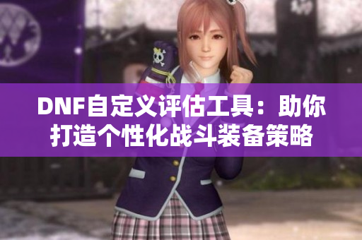 DNF自定义评估工具：助你打造个性化战斗装备策略