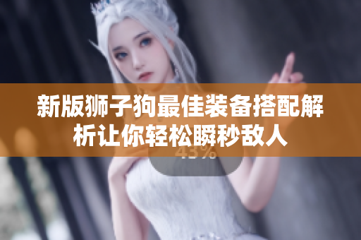 新版狮子狗最佳装备搭配解析让你轻松瞬秒敌人