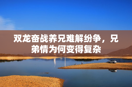 双龙奋战养兄难解纷争，兄弟情为何变得复杂