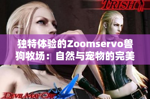 独特体验的Zoomservo兽狗牧场：自然与宠物的完美结合
