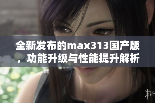全新发布的max313国产版，功能升级与性能提升解析