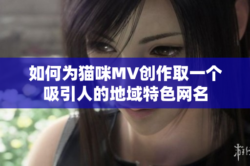 如何为猫咪MV创作取一个吸引人的地域特色网名