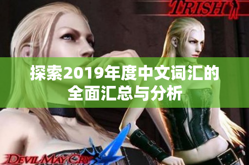 探索2019年度中文词汇的全面汇总与分析