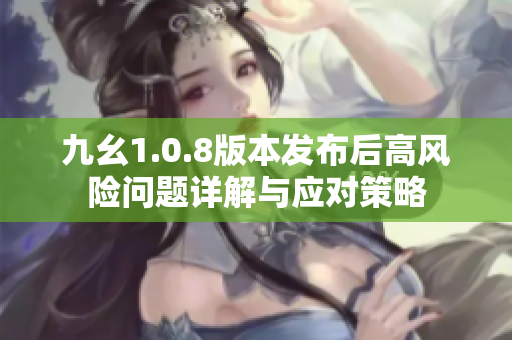 九幺1.0.8版本发布后高风险问题详解与应对策略