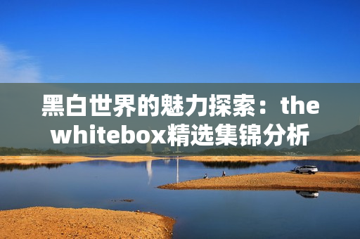 黑白世界的魅力探索：thewhitebox精选集锦分析