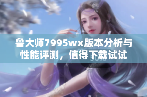 鲁大师7995wx版本分析与性能评测，值得下载试试