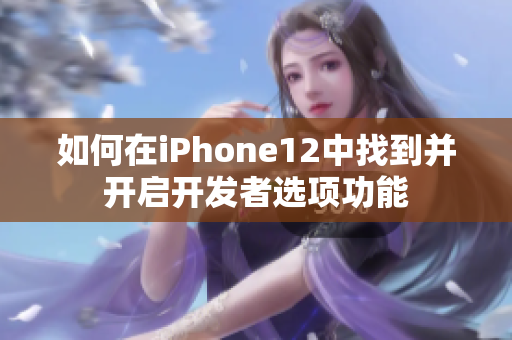 如何在iPhone12中找到并开启开发者选项功能