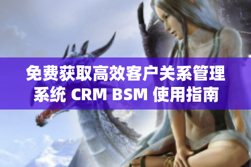 免费获取高效客户关系管理系统 CRM BSM 使用指南