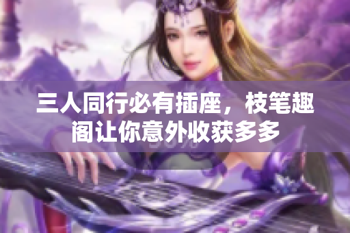 三人同行必有插座，枝笔趣阁让你意外收获多多