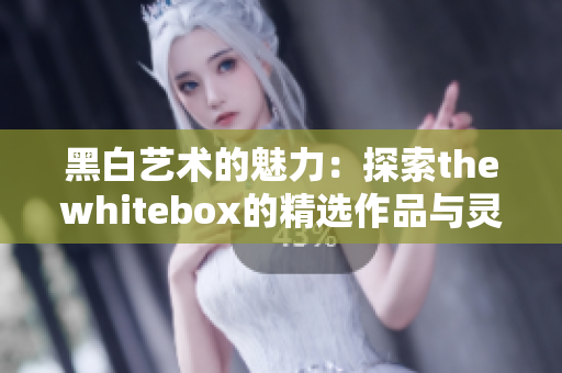 黑白艺术的魅力：探索thewhitebox的精选作品与灵感