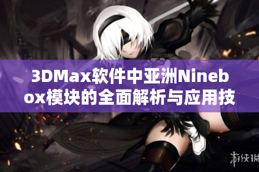 3DMax软件中亚洲Ninebox模块的全面解析与应用技巧