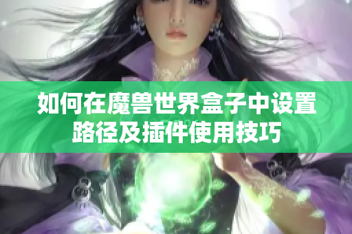 如何在魔兽世界盒子中设置路径及插件使用技巧