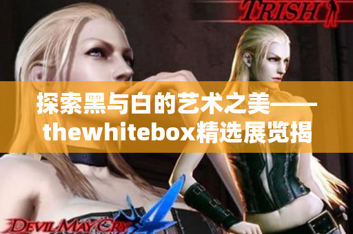 探索黑与白的艺术之美——thewhitebox精选展览揭秘