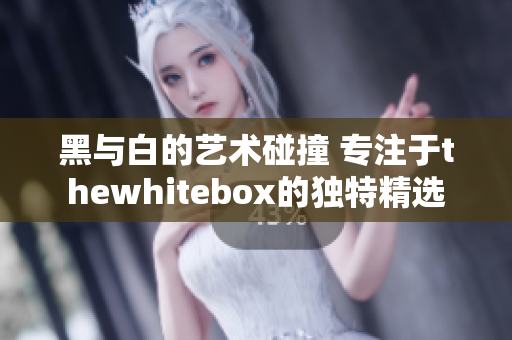 黑与白的艺术碰撞 专注于thewhitebox的独特精选