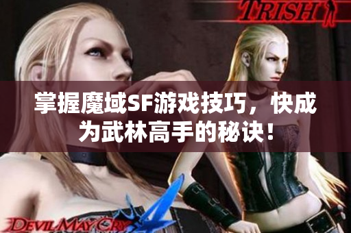 掌握魔域SF游戏技巧，快成为武林高手的秘诀！