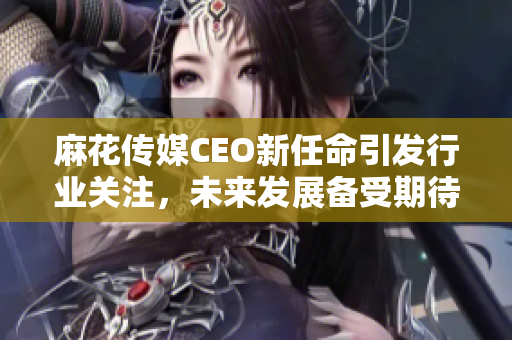 麻花传媒CEO新任命引发行业关注，未来发展备受期待