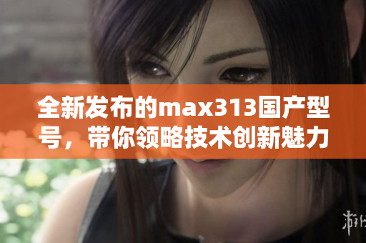 全新发布的max313国产型号，带你领略技术创新魅力