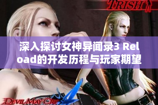 深入探讨女神异闻录3 Reload的开发历程与玩家期望