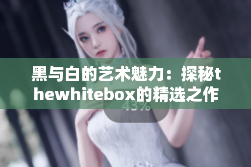 黑与白的艺术魅力：探秘thewhitebox的精选之作