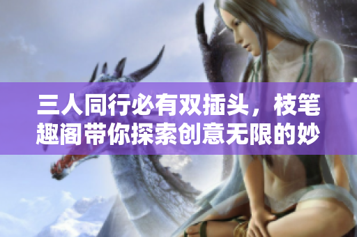 三人同行必有双插头，枝笔趣阁带你探索创意无限的妙趣世界